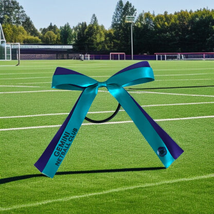 Turquoise and purple netball hoop on a sports field with trees in the background